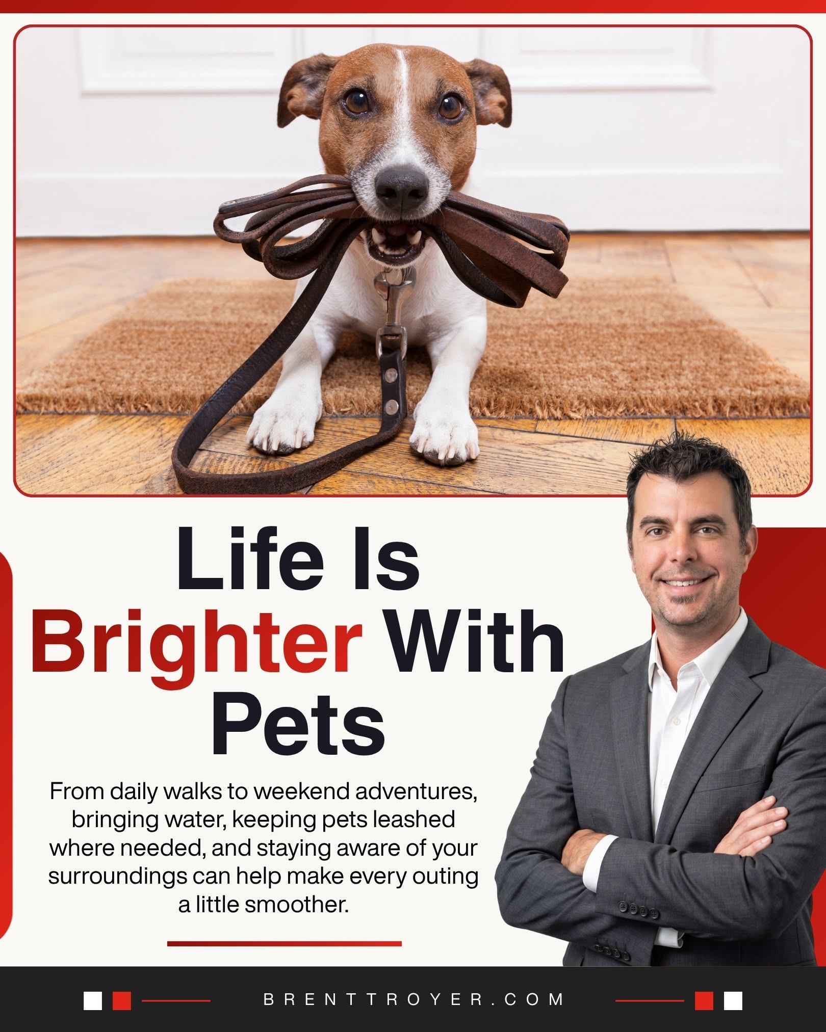 Sunny walks, wagging tails, and plenty of water make summer days with pets even better. However you spend the day with your furry friend, we hope you enjoy every moment together!