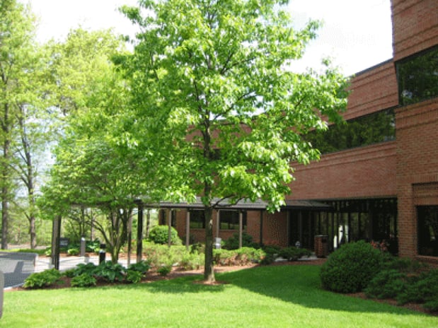 Images Linden Oaks Physical Therapy