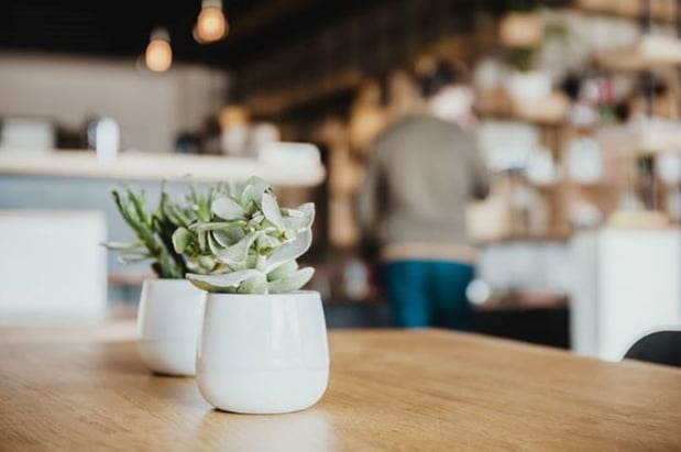 Images Sonder Behavioral Health & Wellness - Minnetonka