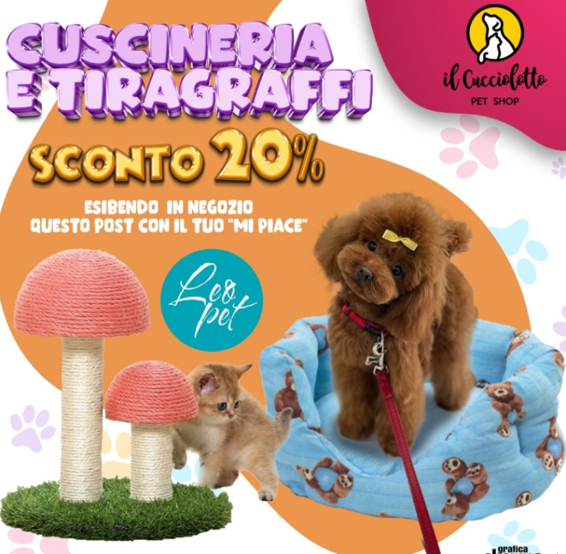 Images Il Cucciolotto Pet Shop e toelettatura