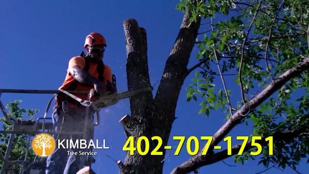 Images Kimball Tree Service