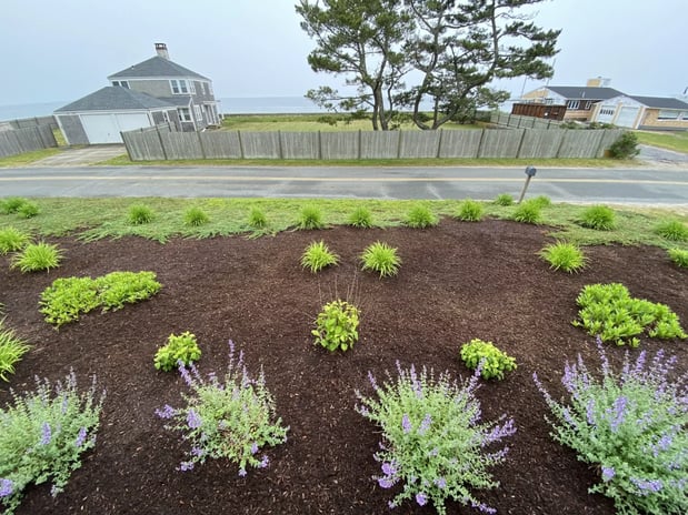 Images Coastal Gardens & Landscapes