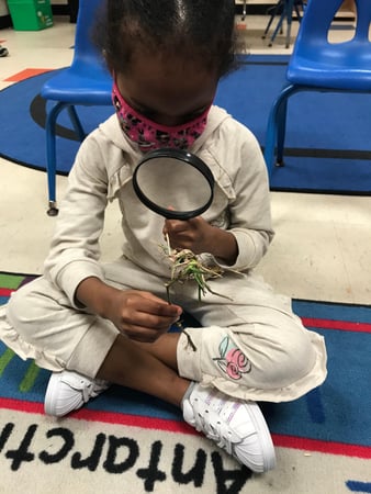 Images Teeter Toddler