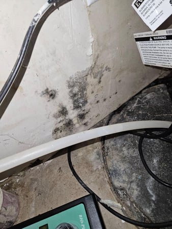 Images Pure Air Mold Removal Oakland