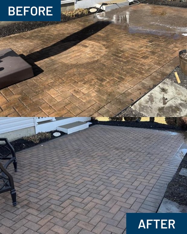 Images Window Hero Raleigh