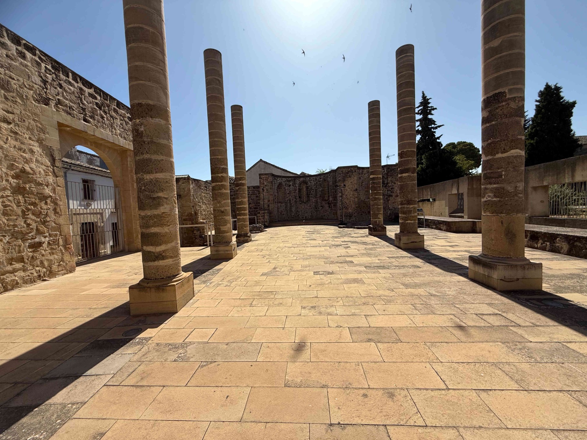 Images Himilce Visitas Guiadas