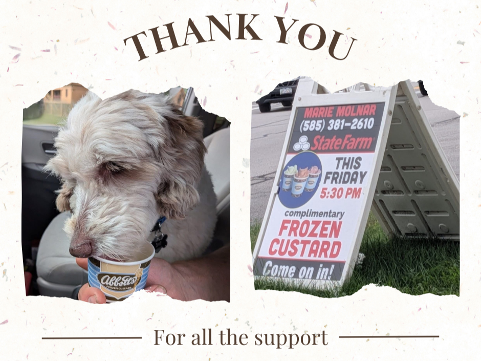 A big thank you to everyone who came out last week! We had such a fun time seeing familiar faces, meeting new ones, and enjoying the day together. You made it one to remember, and we are so glad you joined us!
