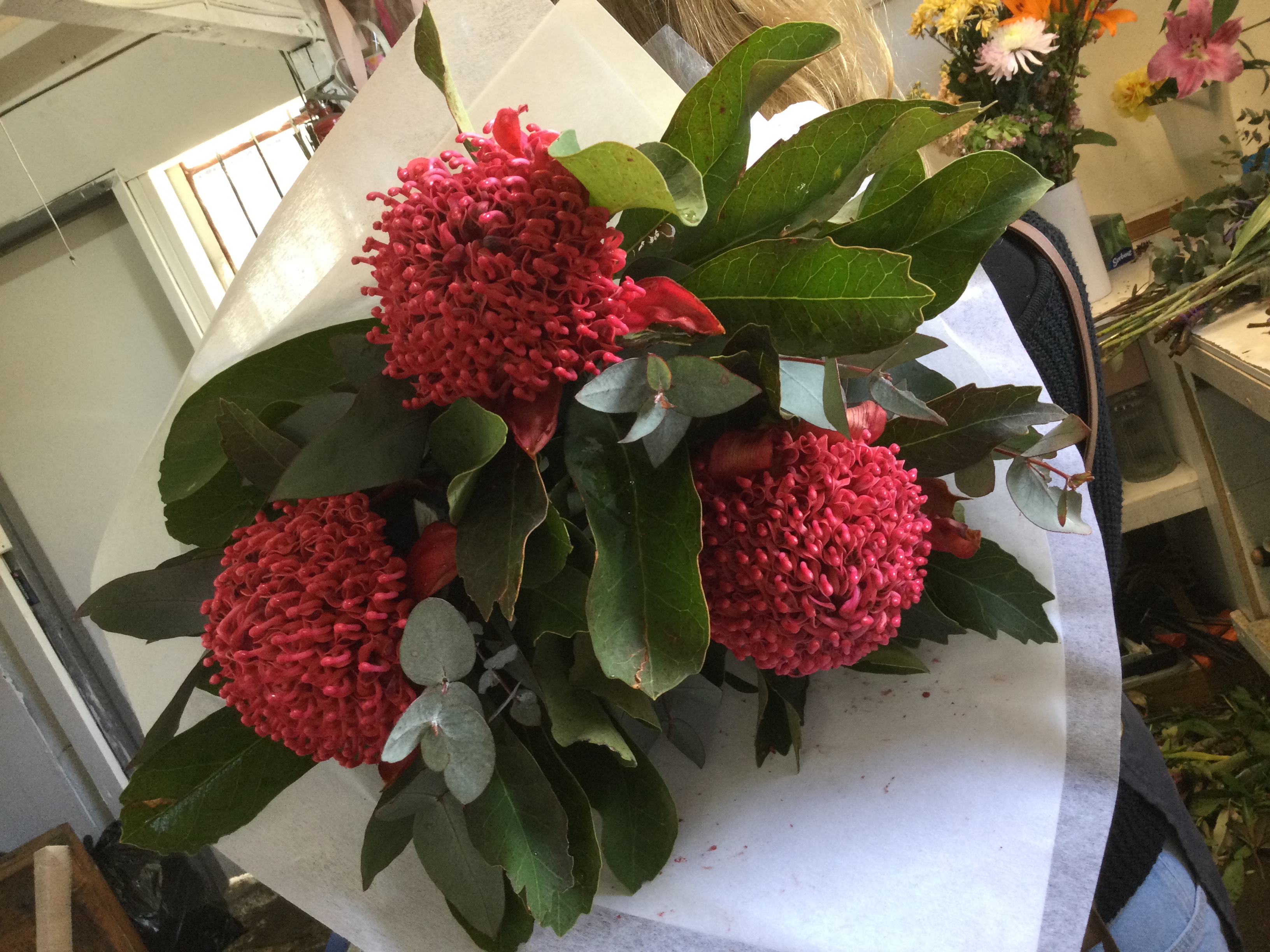 Images Carlton North Flowers