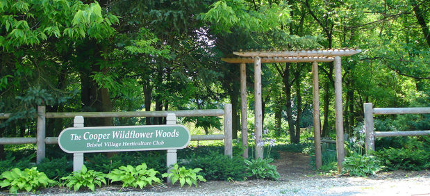 Images Bristol Village