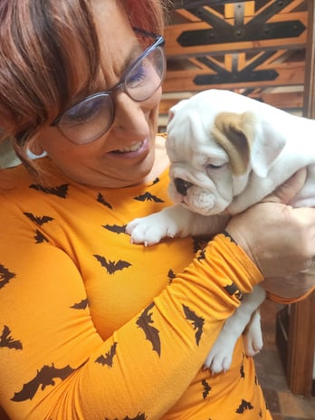 Images VCA Old Trail Animal Hospital