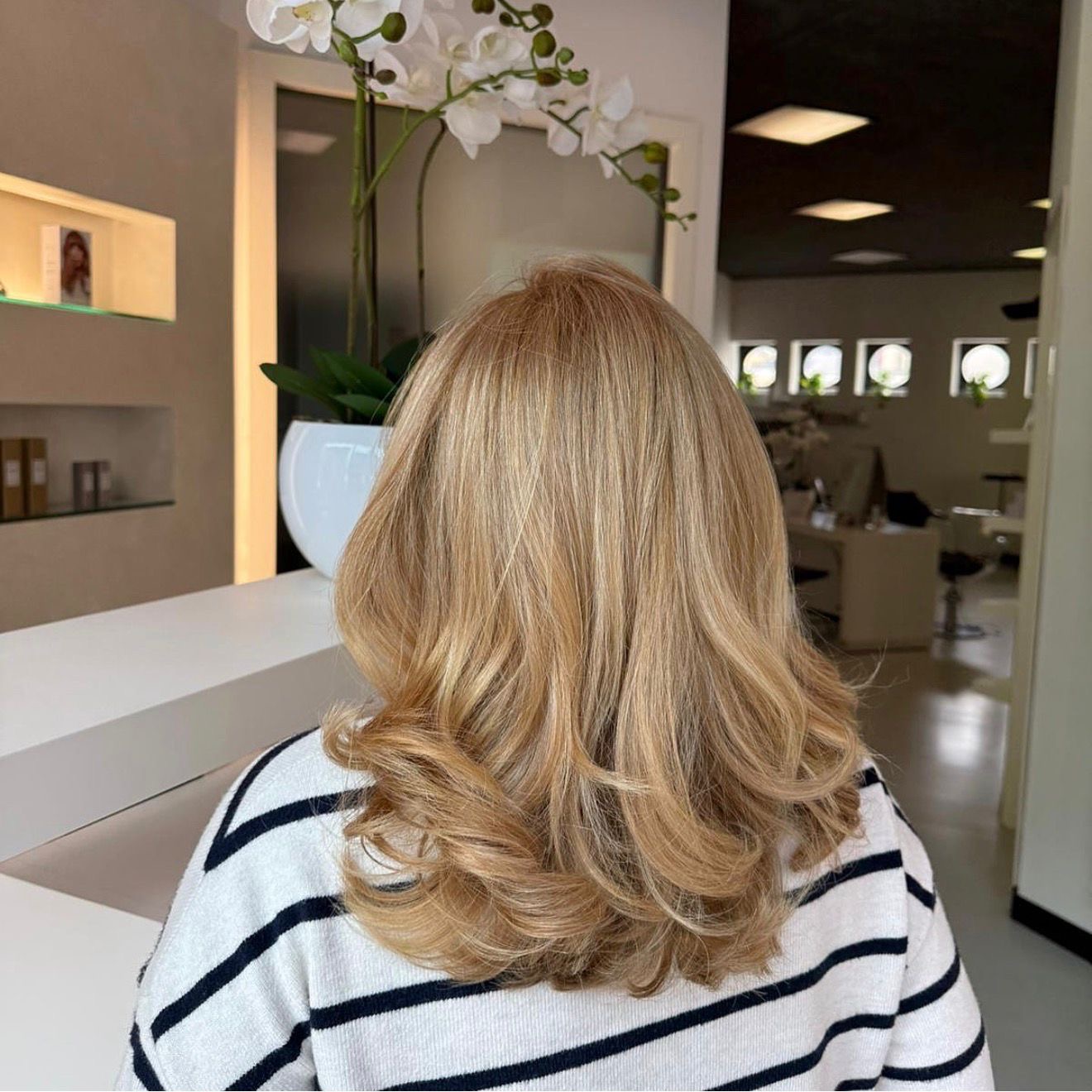 Bilder Elegance hair and beauty