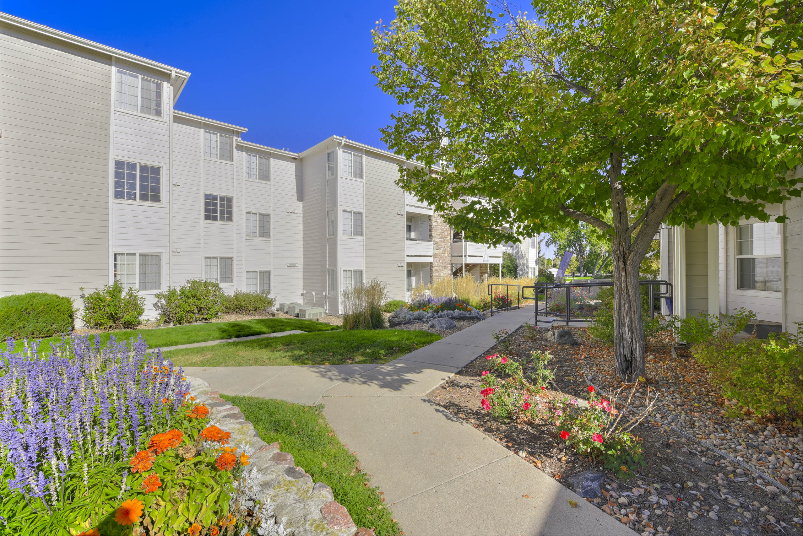 Courtyard Walking Path 