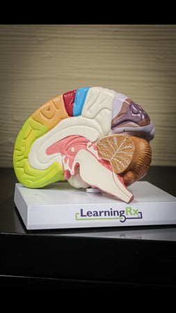 Images LearningRx - Shreveport