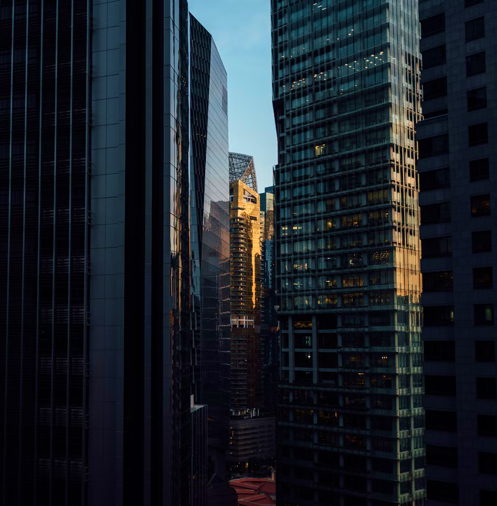 Skyscrapers at sunset.
