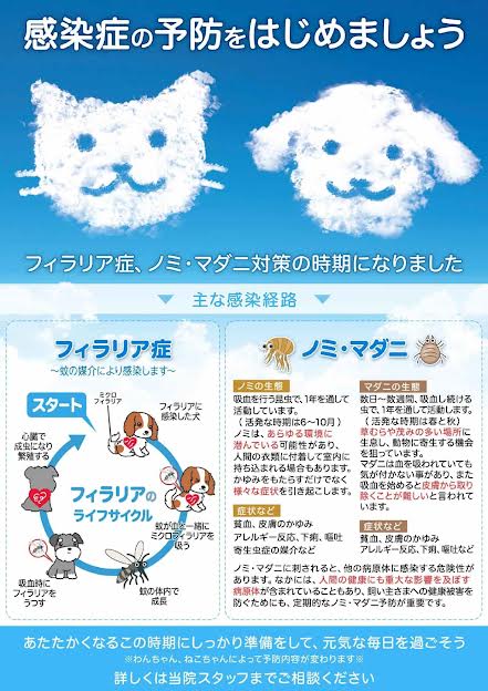 Images ペテモ動物病院西新井