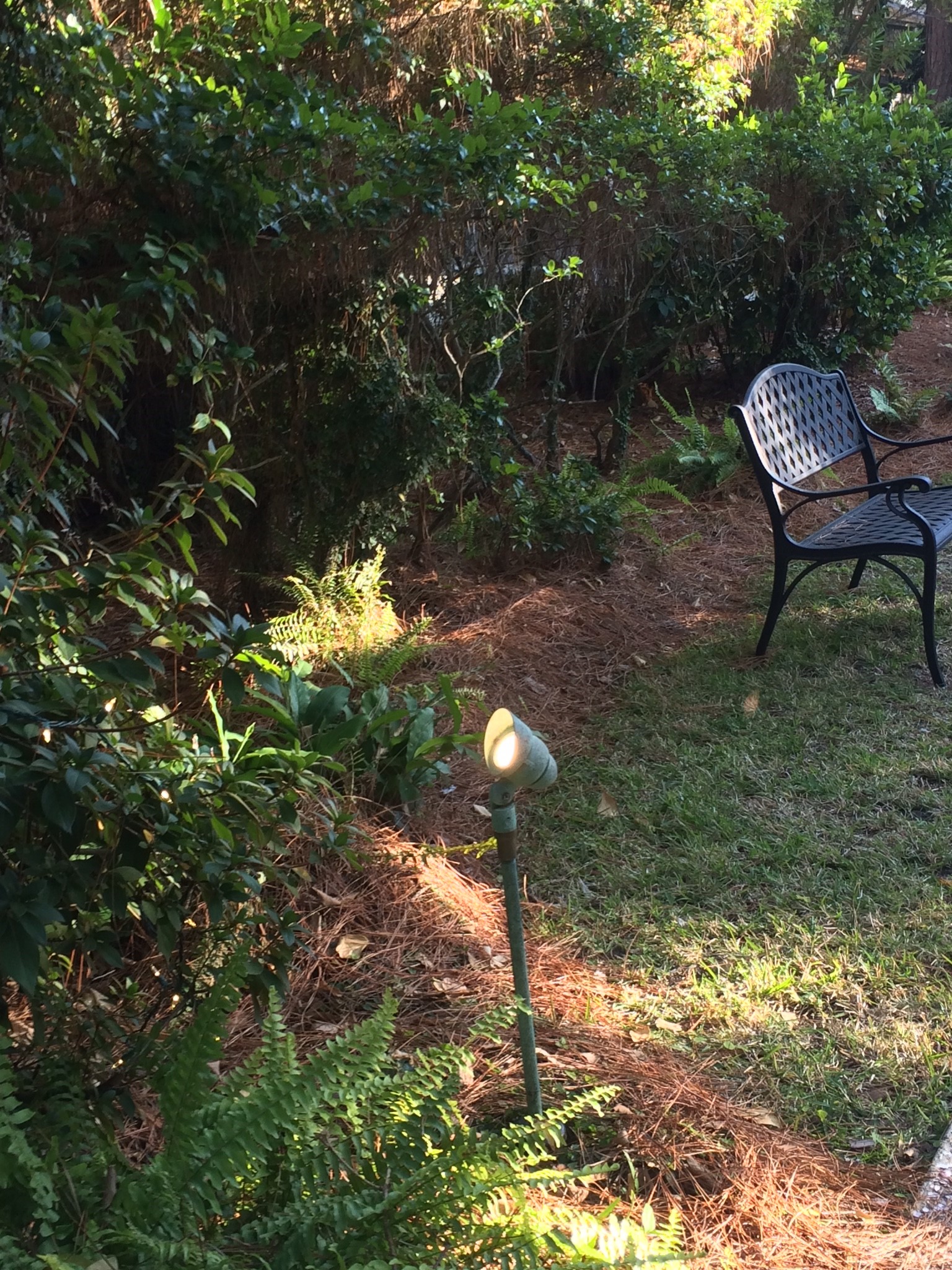 Landscape lighting contractors