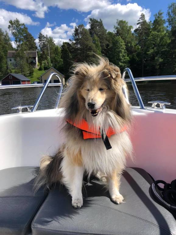 Images Pegasus Veterinär Klinik AB