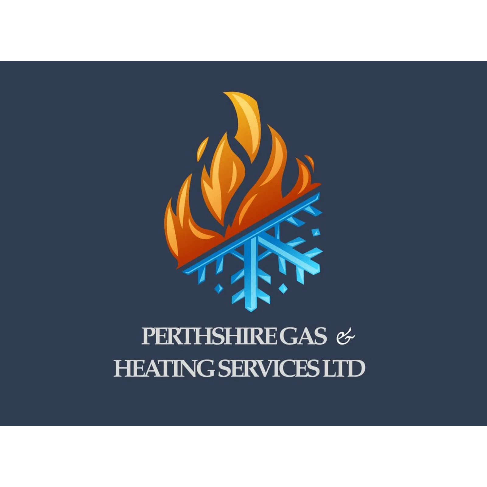 company logo