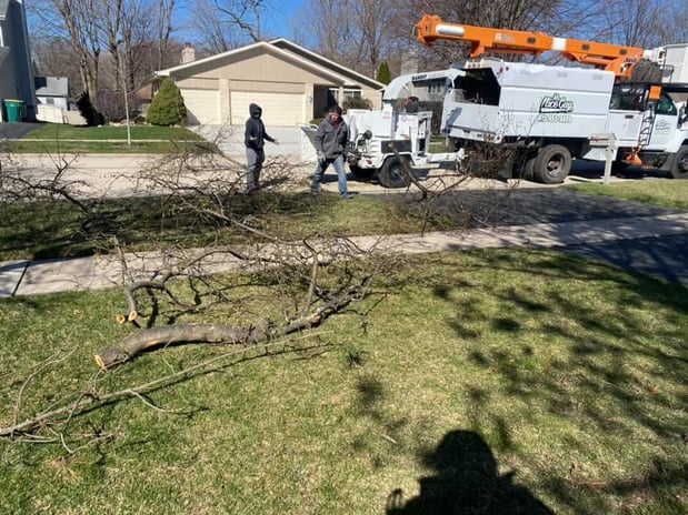 Images Mr. Nice Guy Tree Service