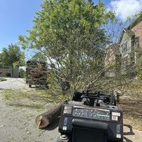 Chatham Tree Service Logo