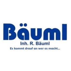 Reinhold Bäuml in Ursensollen - Logo