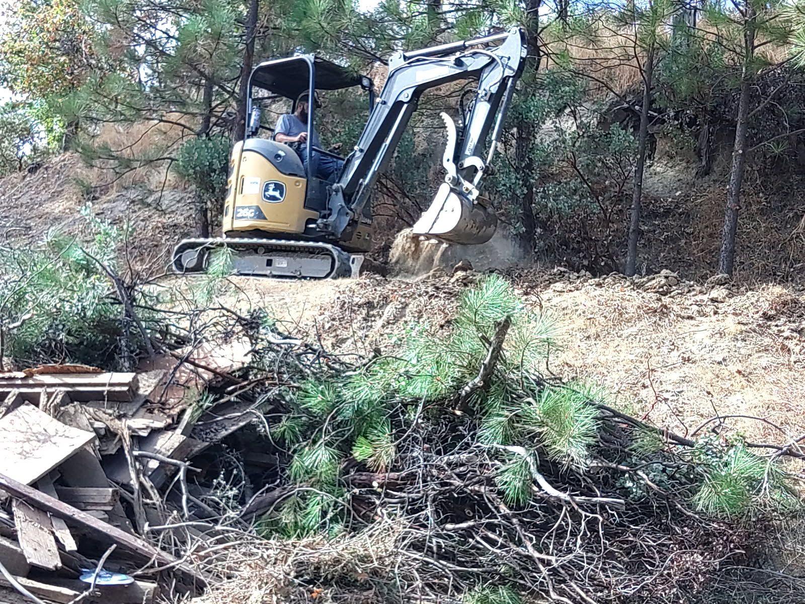 Compact excavator works on a wooded hillside, digging and clearing soil around trees while cut branches, logs, and debris lie in foreground during active land clearing and excavation work outdoors.
