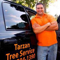 Images Tarzan Tree Service