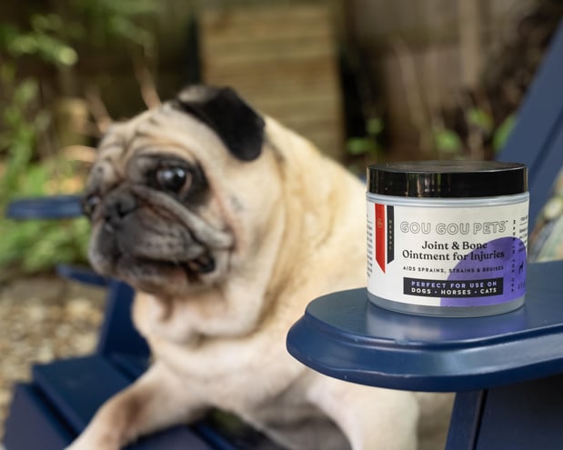 Images Sparkcade Marketing