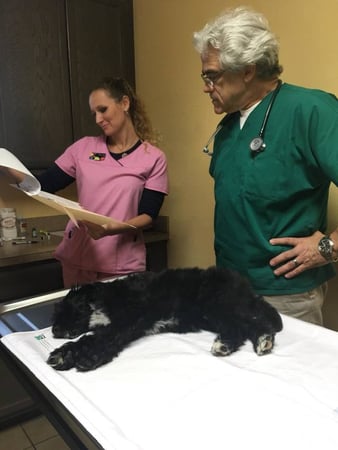 Images Manatee Veterinary Clinic