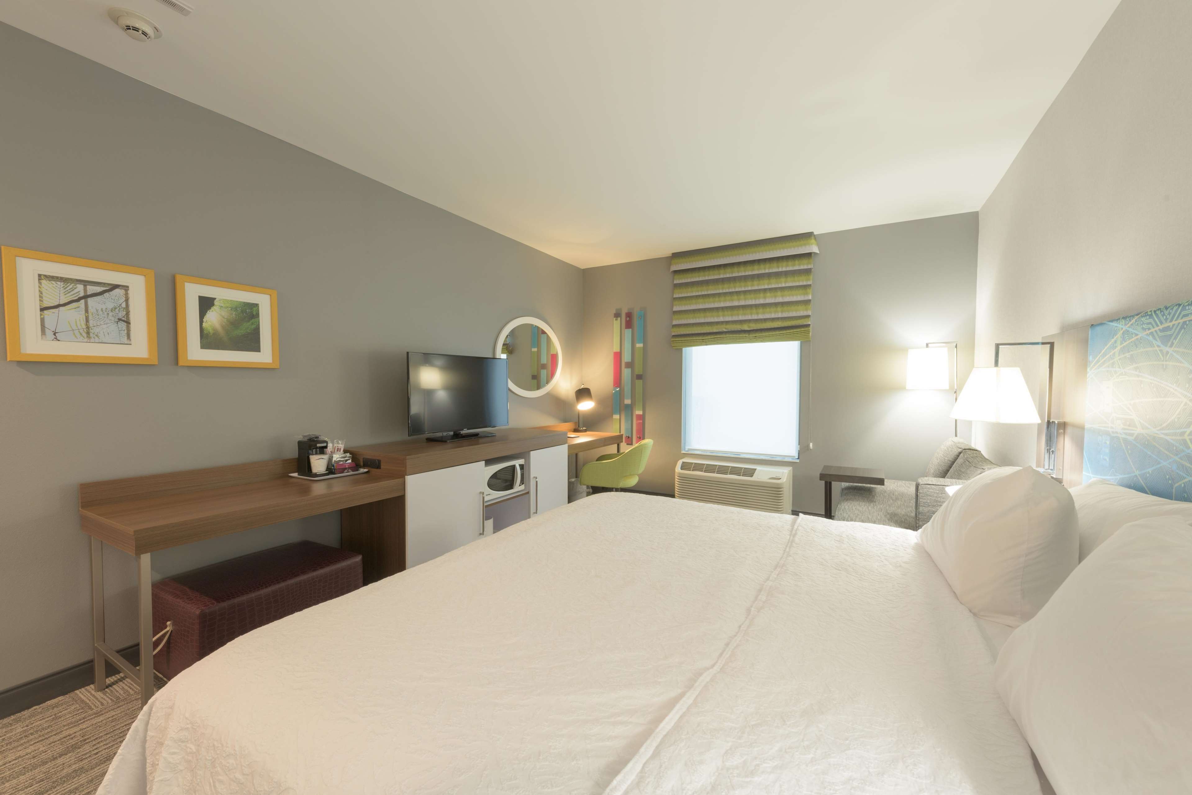 Hampton Inn Buffalo-Hamburg