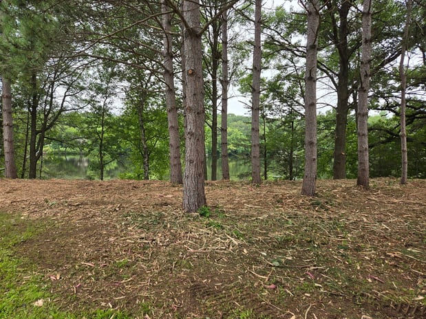 Images TK Land Management LLC