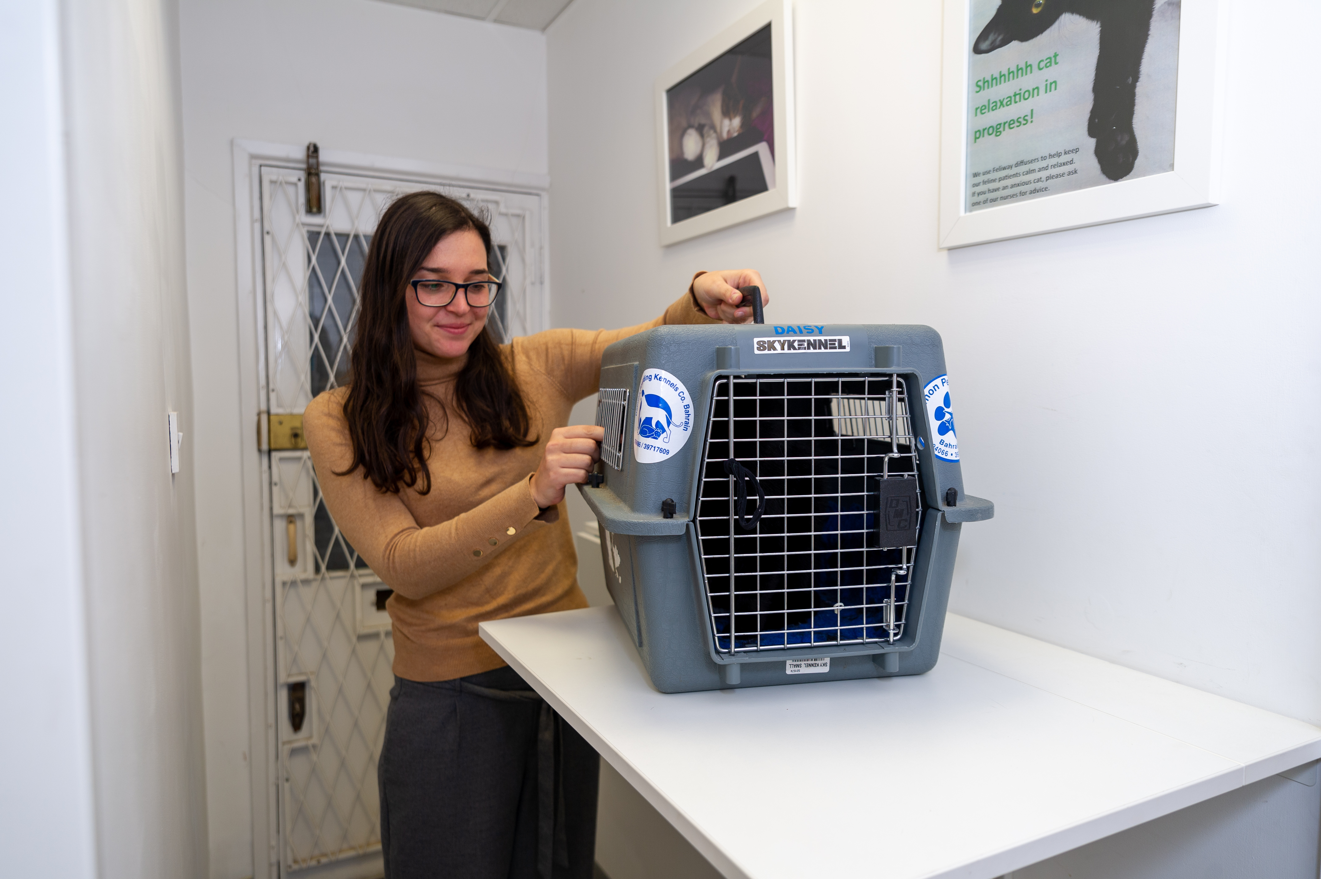 Images Streatham Hill Veterinary Surgery