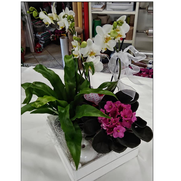 Images Fioreria Garden Flor