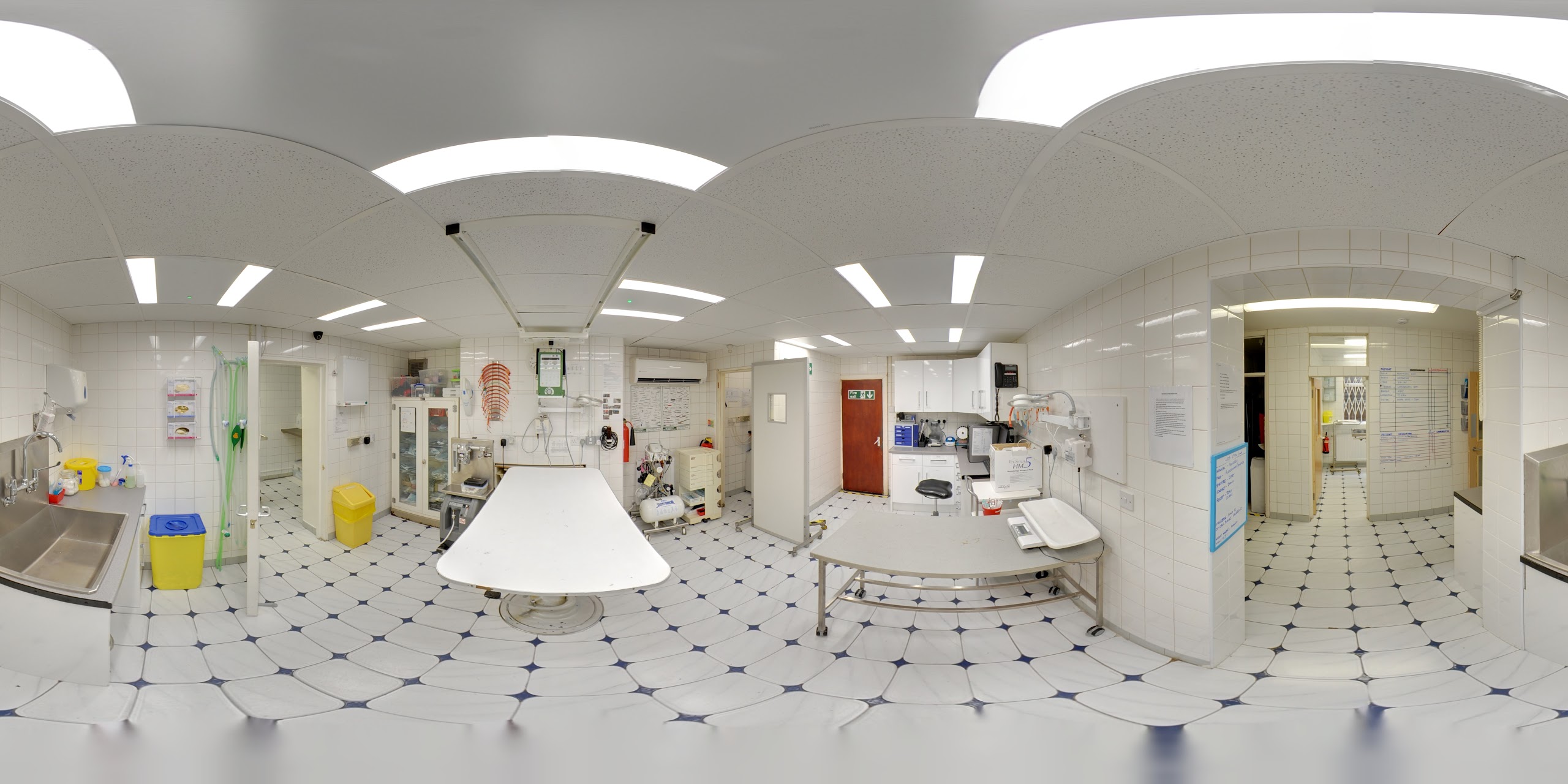 Images Streatham Hill Veterinary Surgery