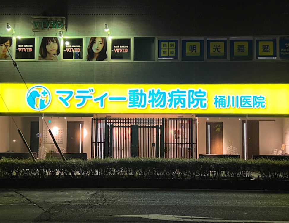 Images マディー動物病院　桶川医院