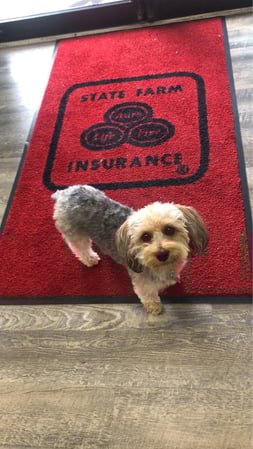 Images Linda Rodriguez - State Farm Insurance Agent