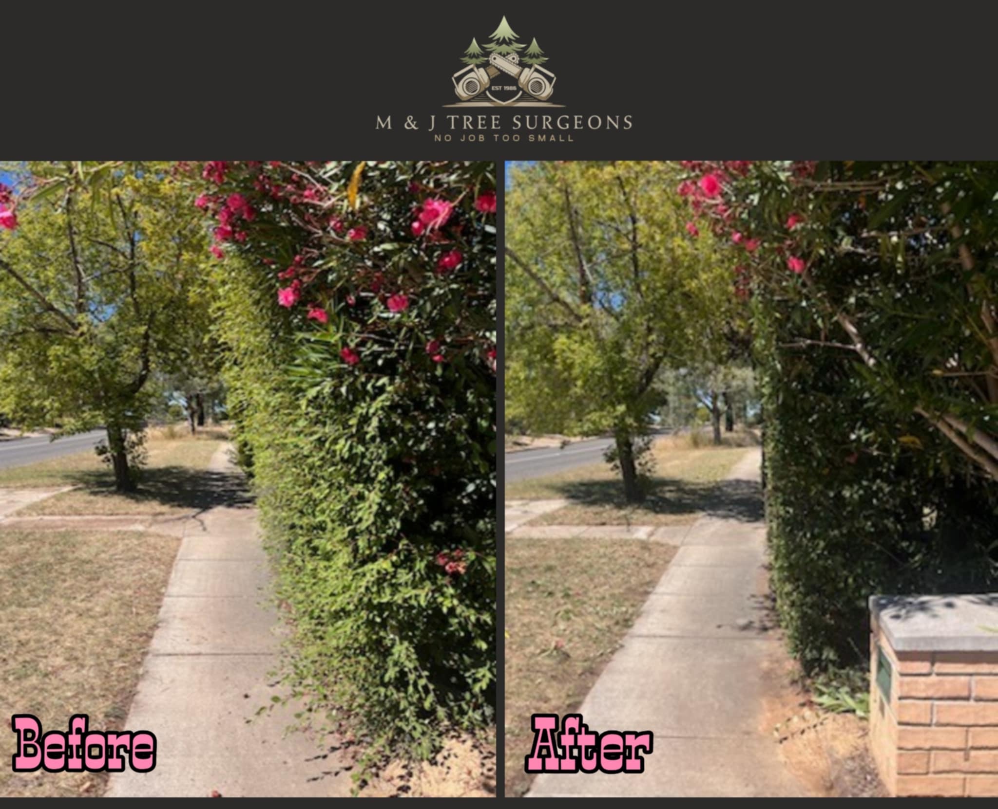 Images M & J Tree Surgeons