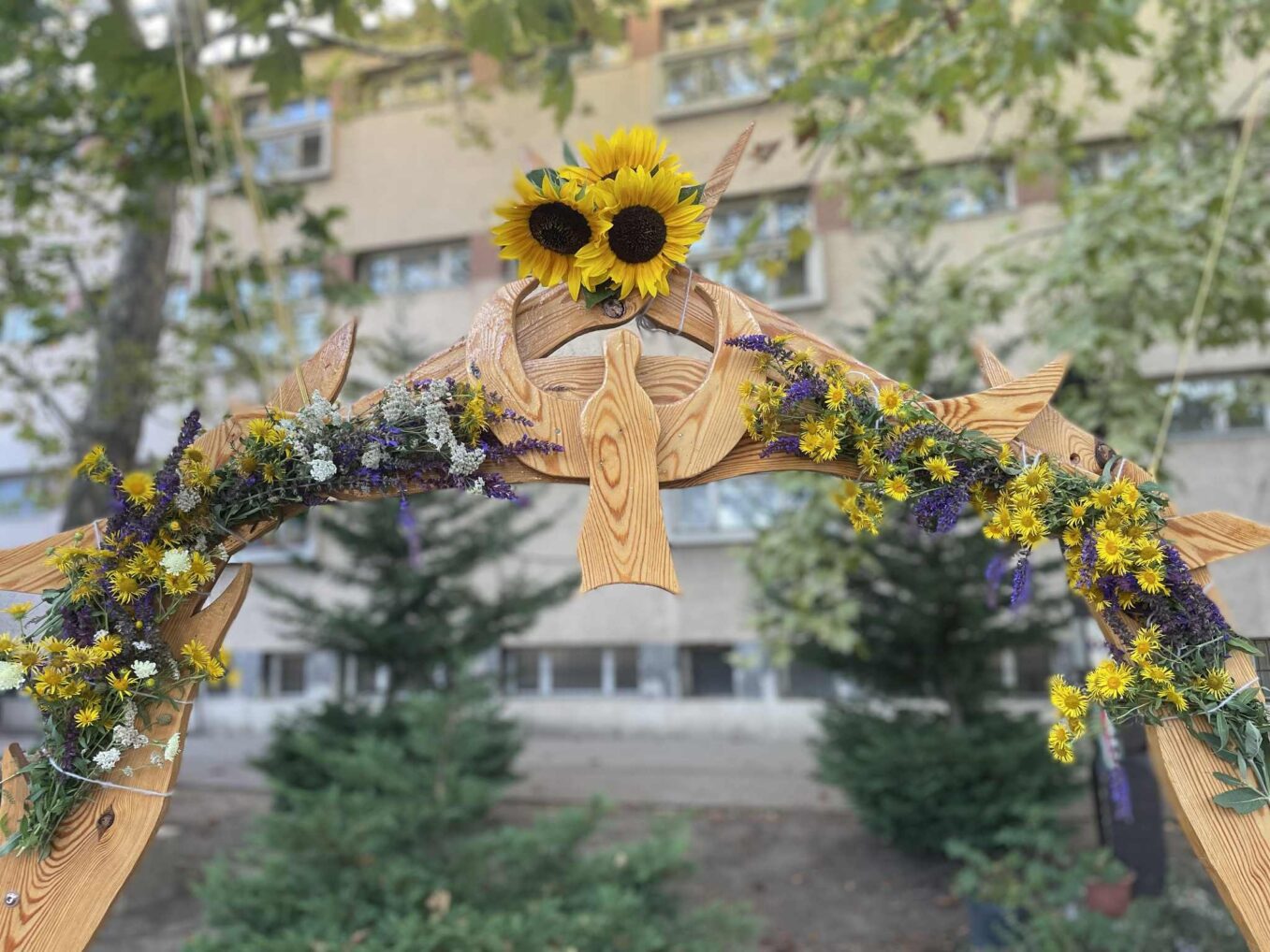 Images Aranyos Szeglet Waldorf Iskola és Óvoda Szolnok