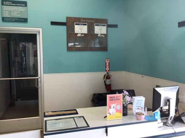 Images Petco Grooming
