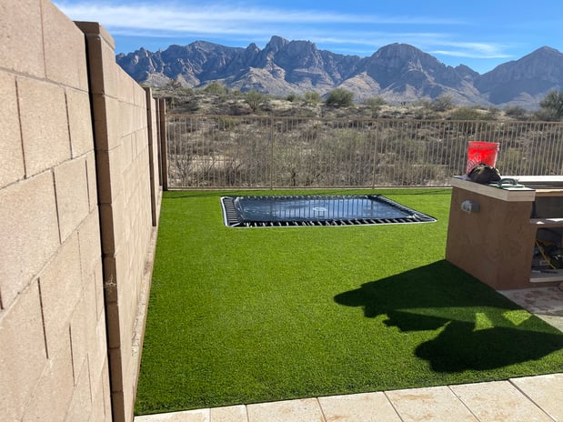 Images Purchase Green Artificial Grass