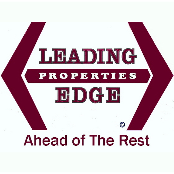 Mike Arieta - Leading Edge Properties Logo