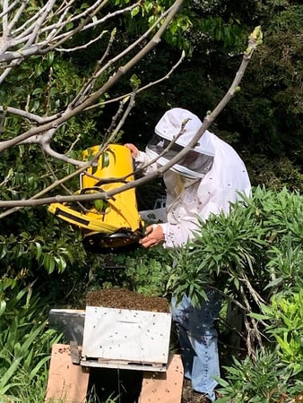 Images Kritscher Apiaries