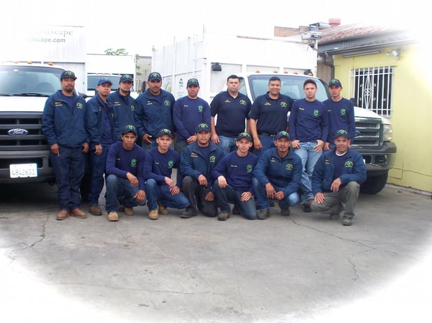 Images JC Tree Care & Landscape