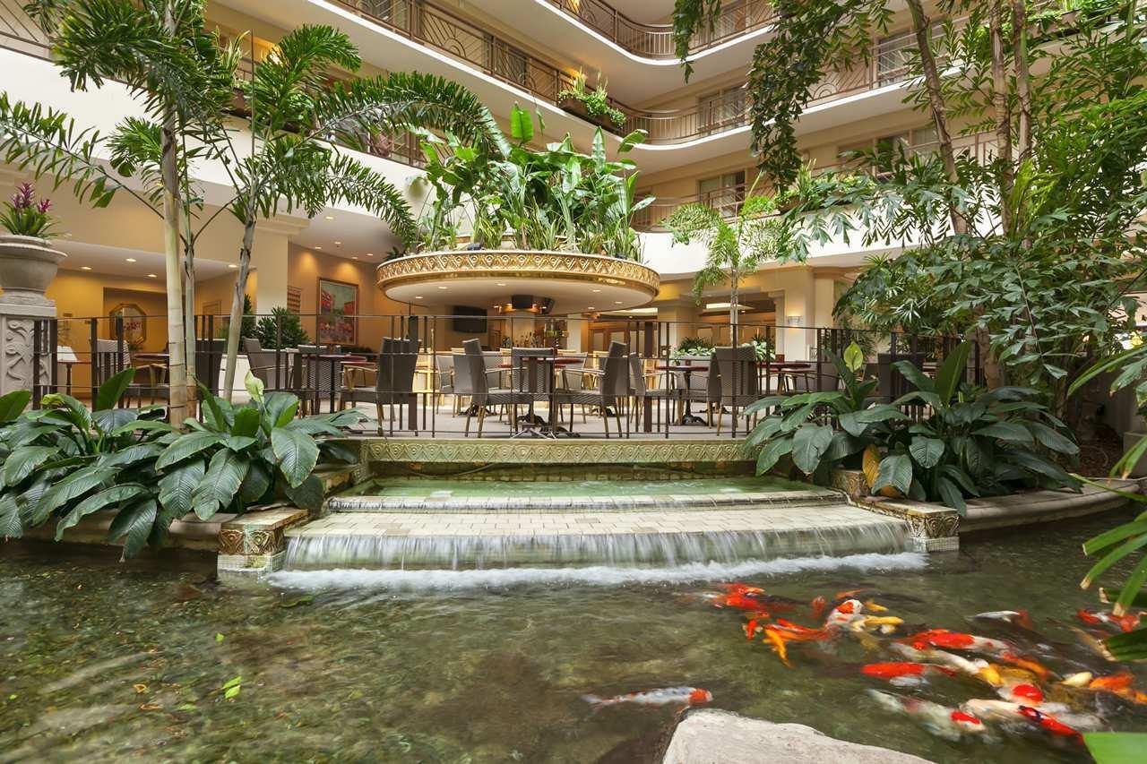 Hilton Hotels Near San Francisco Airport Hilton Hotels Near San Francisco Airport