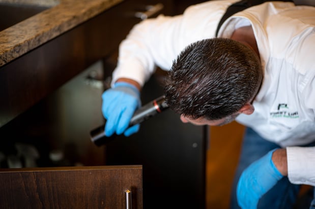 Images First Line Pest Defense