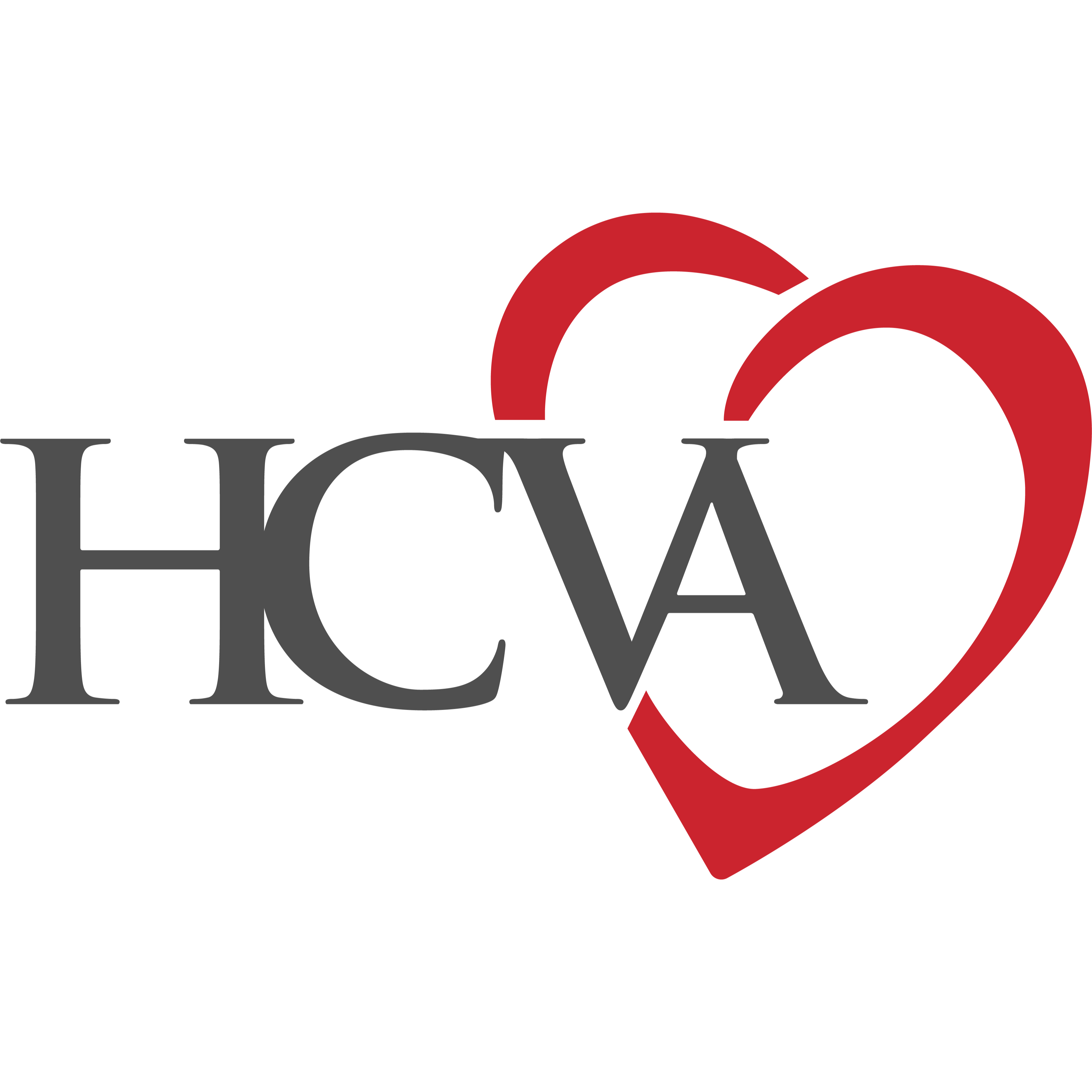 Houston Cardiovascular Associates