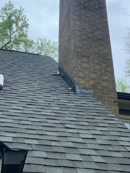 Raptor Roofing Image