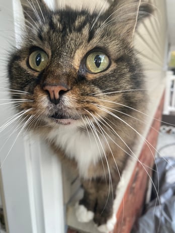 Images Brent Maudlin - State Farm Insurance Agent