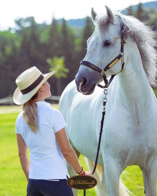Images Panamania Hats
