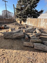 FILI Tree Expert & Landscaping LLC Image